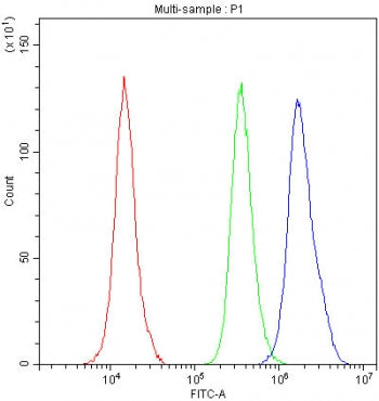 Flow cytometry testing of fixed and permeabilized human A431 cells with NRF1 antibody at 1ug/million