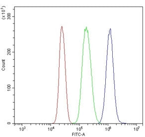 Flow cytometry testing of human U937 cells with CXCR4 antibody at 1ug/million cells (blocked with go