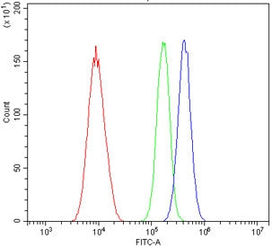 Flow cytometry testing of human A549 cells with Retinoid X Receptor alpha antibody at 1ug/million ce