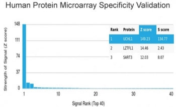 Analysis of HuProt(TM) microarray containing more than 19,000 full-length human proteins using PGP9.