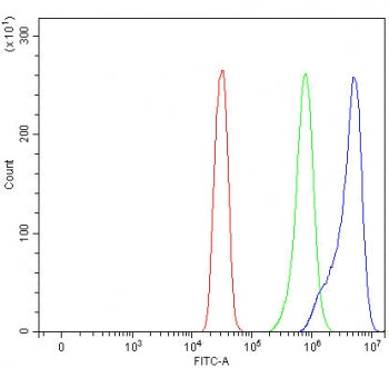 Flow cytometry testing of fixed and permeabilized human SiHa cells with APLP1 antibody at 1ug/millio