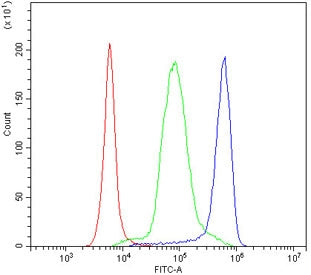 Flow cytometry testing of human PBM cells with CD47 antibody at 1ug/10^6 cells (blocked with goat se