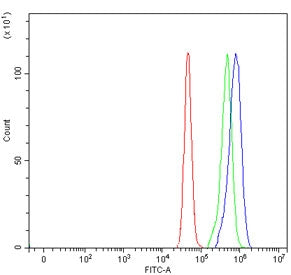 ERGIC1 Antibody / ERGIC-32