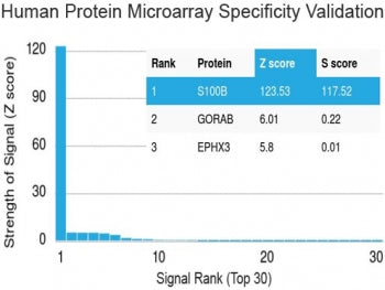 Protein array validation of the S100 beta antibody: Analysis of HuProt(TM) microarray containing mor