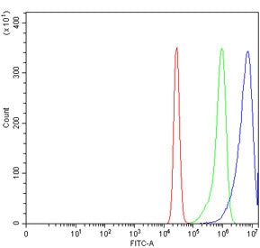 Flow cytometry testing of human K562 cells with Caspase-8 antibody at 1ug/million cells (blocked with goat sera); Red=cells alone, Green=isotype control, Blue= Caspase-8 antibody.