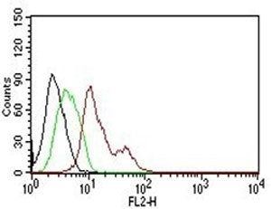 Estrogen Receptor alpha Antibody