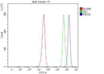 Flow Cytometry analysis of JK cells using anti-PEX19 antibody. Overlay histogram showing JK cells st