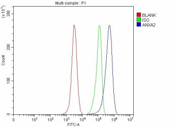 Flow Cytometry analysis of Hela cells using anti-ANXA2 antibody. Overlay histogram showing Hela cell