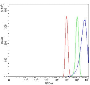 Retinol dehydrogenase 10 Antibody / RDH10