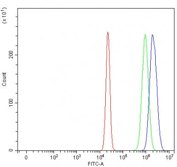 RUNDC1 Antibody / RUN domain-containing protein 1
