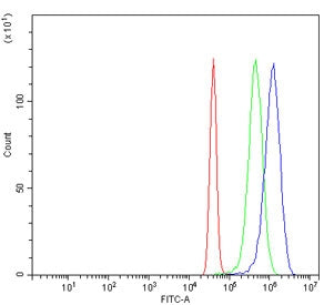 Flow cytometry testing of human U-251 cells with POLA2 antibody at 1ug/million cells (blocked with g