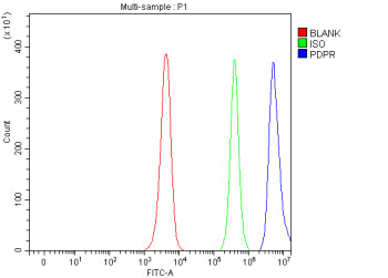 Flow Cytometry analysis of human JK cells using anti-PDPR antibody. Overlay histogram showing JK cel
