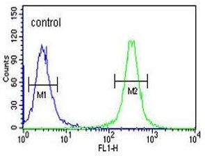 Flow cytometry testing of human K562 cells with HSP90B1 antibody; Blue=isotype control, Green= HSP90