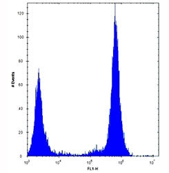 TLR4 Antibody