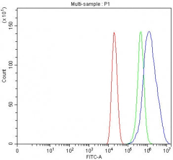Flow cytometry testing of fixed and permeabilized human Caco-2 cells with LMO7 antibody at 1ug/milli