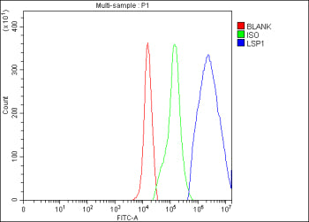 Flow Cytometry analysis of U937 cells using anti-LSP1 antibody. Overlay histogram showing U937 cells