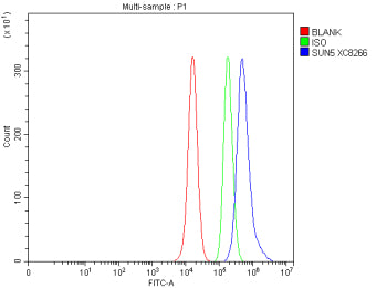 Flow Cytometry analysis of human PC-3 cells using anti-SUN5 antibody. Overlay histogram showing PC-3