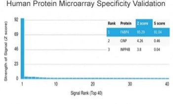Analysis of HuProt(TM) microarray containing more than 19,000 full-length human proteins using FABP4