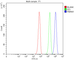 Flow Cytometry analysis of K562 cells using anti-PBRM1 antibody. Overlay histogram showing K562 cell