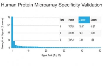 Analysis of HuProt(TM) microarray containing more than 19,000 full-length human proteins using TCF-2