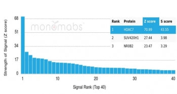 Analysis of a HuProt(TM) microarray containing more than 19,000 full-length human proteins using HDA
