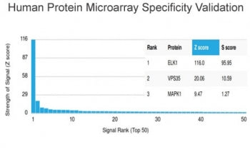 Analysis of HuProt(TM) microarray containing more than 19,000 full-length human proteins using ELK1 