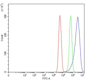 TRAT1 Antibody / T-cell receptor-associated transmembrane adapter 1