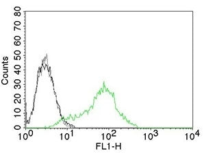 Ku70 + Ku80 Antibody