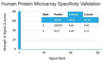 Analysis of HuProt(TM) microarray containing more than 19,000 full-length human proteins using Granz