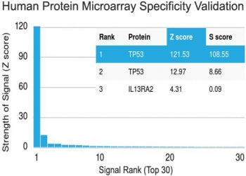 Protein array validation of the p53 antibody: Analysis of HuProt(TM) microarray containing more than