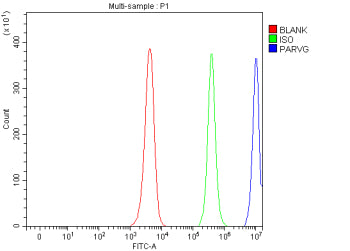 Flow Cytometry analysis of JK cells using anti-PARVG antibody. Overlay histogram showing JK cells st