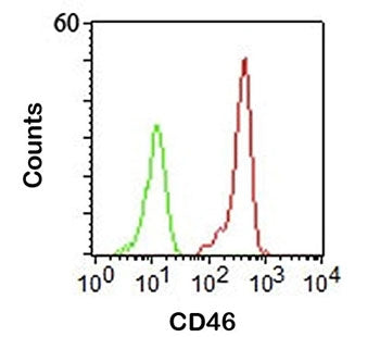 CD46 Antibody