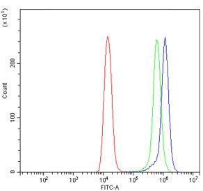 Flow cytometry testing of human Raji cells with AP2A1 antibody at 1ug/million cells (blocked with go