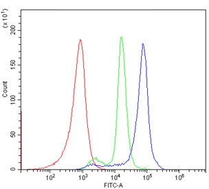 CD40 Antibody