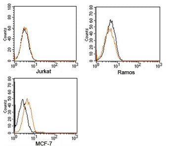 FACS testing of Rabbit IgG isotype control antibody PE conjugate on human samples. Black=cells alone