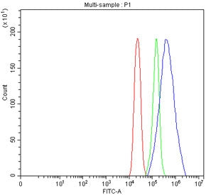 Flow cytometry testing of fixed human U-251 cells with ST15 antibody at 1ug/million cells (blocked w