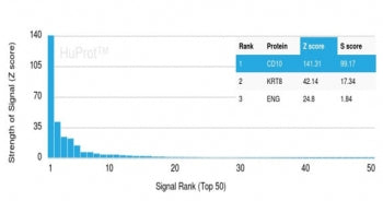 Analysis of a HuProt(TM) microarray containing >19,000 full-length human proteins using CD10 antibod