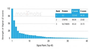Analysis of a HuProt(TM) microarray containing more than 19,000 full-length human proteins using Int