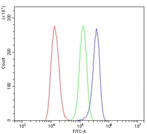 SLC22A3 Antibody