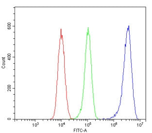 Flow cytometry testing of human 293T cells with PRMT5 antibody at 1ug/million cells (blocked with go