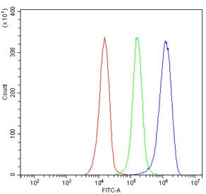 UBAP2 Antibody / Ubiquitin-associated protein 2