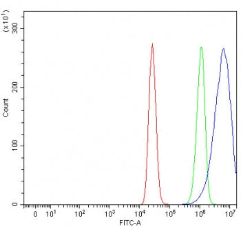Flow cytometry testing of fixed and permeabilized human MCF7 cells with RUFY1 antibody at 1ug/millio