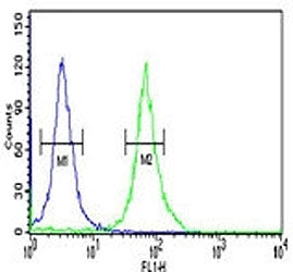 PKM2 antibody flow cytometric analysis of 293 cells (right histogram) compared to a negative control