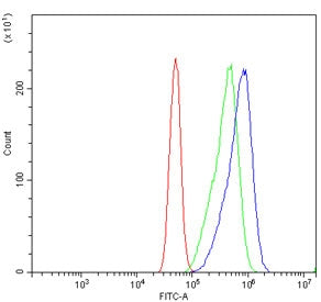 CD133 Antibody / PROM1