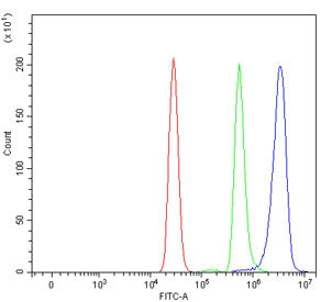 Flow cytometry testing of human U937 cells with Apoptotic protease-activating factor 1 antibody at 1