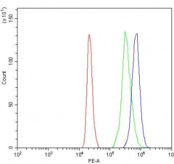 RNF44 Antibody / RING finger protein 44
