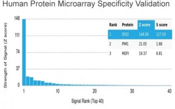 Analysis of HuProt(TM) microarray containing more than 19,000 full-length human proteins using INDOL