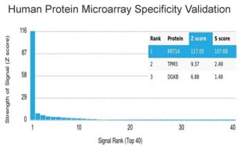 Analysis of HuProt(TM) microarray containing more than 19,000 full-length human proteins using Cytok