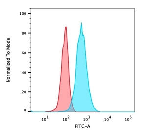 CD105 Antibody / Endoglin