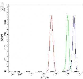 MIGA1 Antibody / Mitoguardin 1 / FAM73A